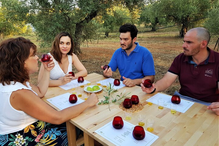 Olivenöl-Tour und Verkostung mit Sommelier – Kalentzi, Tagesausflug nach Athen