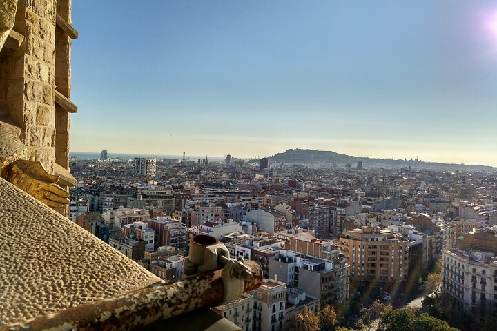 Sagrada Familia English Guided Tour and Optional Tower Access
