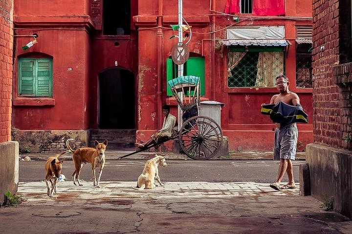 Confluence culturelle de Kolkata - Visite culturelle du kaléidoscope