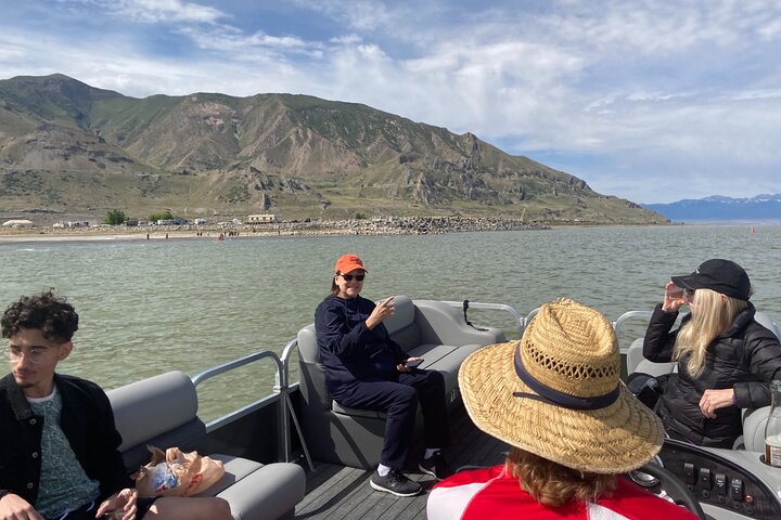 Tour de 45 minutos en barco por el Gran Lago Salado