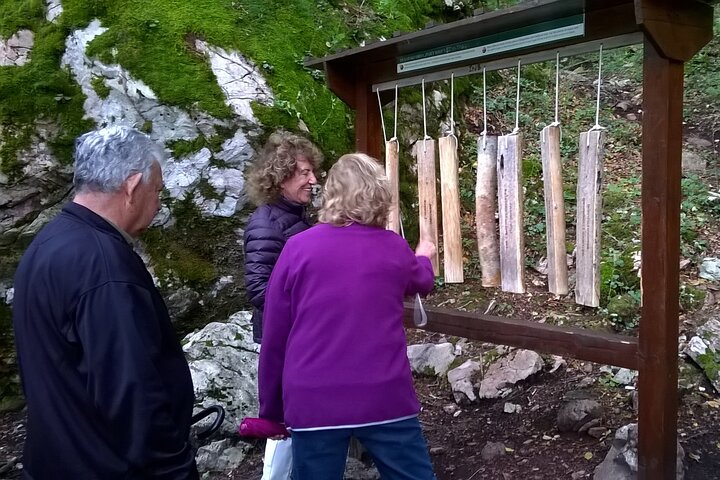 Private Full-Day Tour in Moraca and Tara Canyons, Durmitor & Biogradska Gora NP