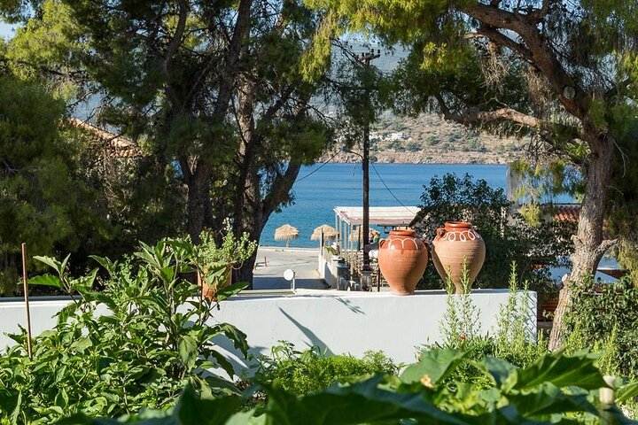 Traditionell grekisk matlagningskurs och ekologisk lunch på Poros