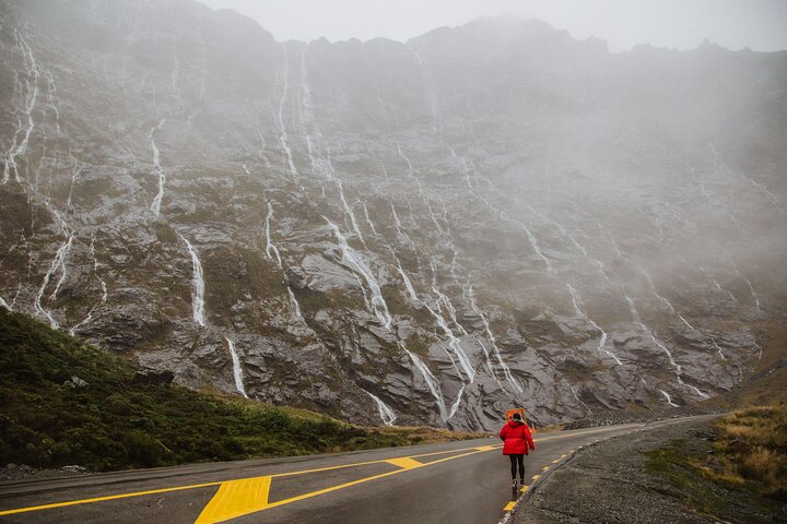 Excursion privée guidée d'une journée à Milford Sound au départ de Te Anau (croisière incluse)