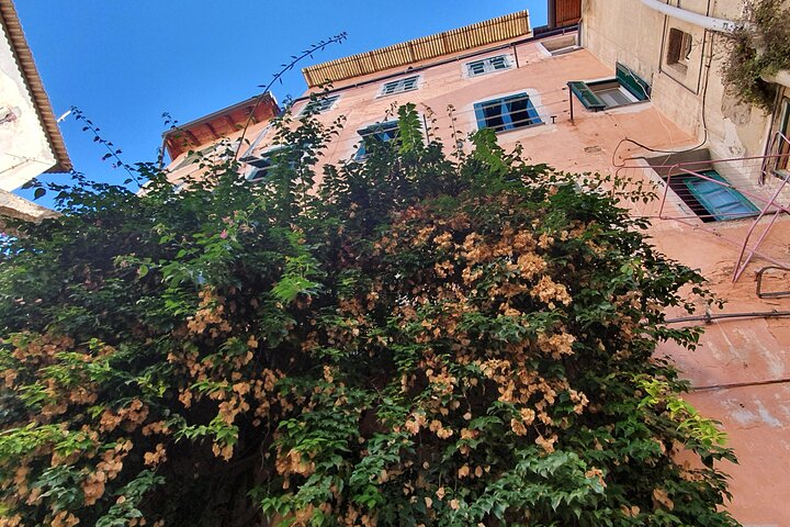 SANREMO FOOD TOUR - Authentique cuisine de rue ligurienne et cité médiévale