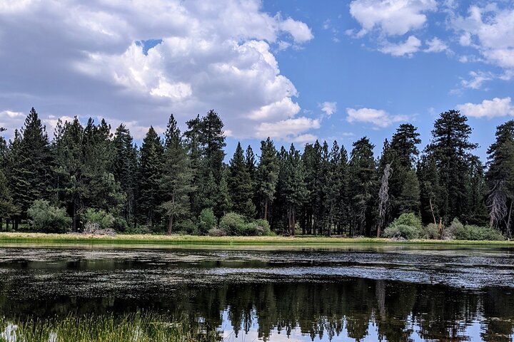 Visite hors route de Big Bear Jeep avec randonnée dans la réserve de Bluff Lake