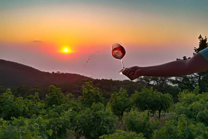 Visita della cantina e degustazione di vini presso la cantina Karimalis a Ikaria