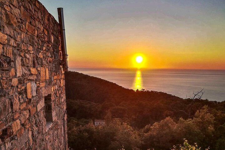 Visita della cantina e degustazione di vini presso la cantina Karimalis a Ikaria