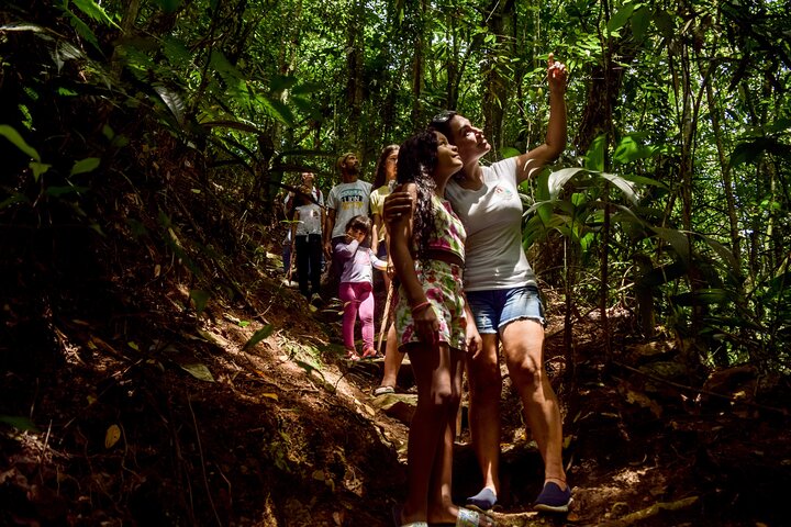Una giornata per godersi la natura e vivere un'avventura nel fiume Giordano
