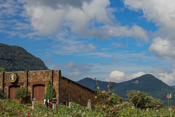 Jolimont Winery Tour - Besichtigung und Verkostung - Canela RS