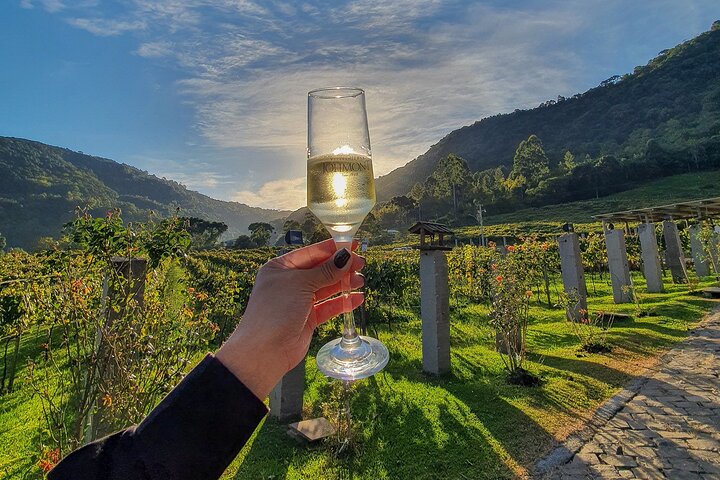 Jolimont Winery Tour - Besichtigung und Verkostung - Canela RS