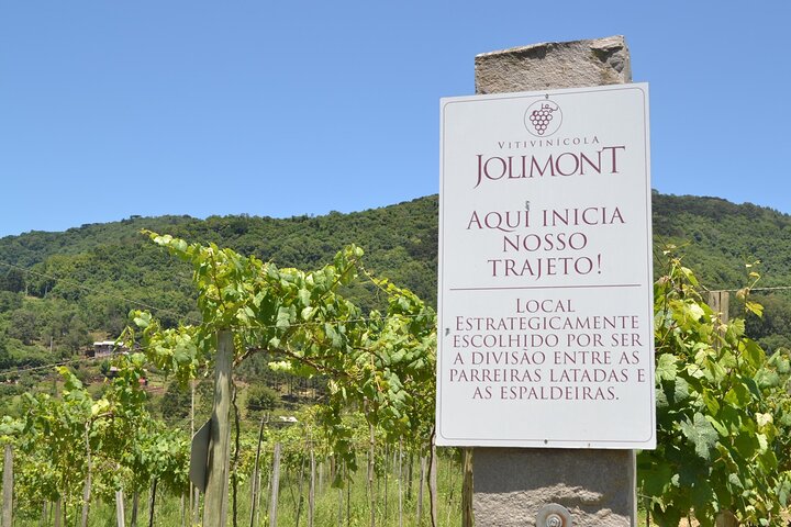 Jolimont Winery Tour - Besichtigung und Verkostung - Canela RS