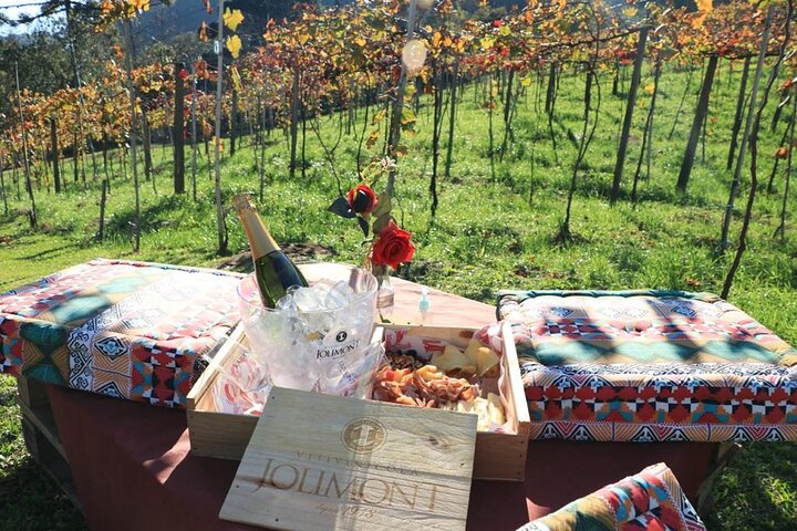 Jolimont Winery Tour - Besichtigung und Verkostung - Canela RS
