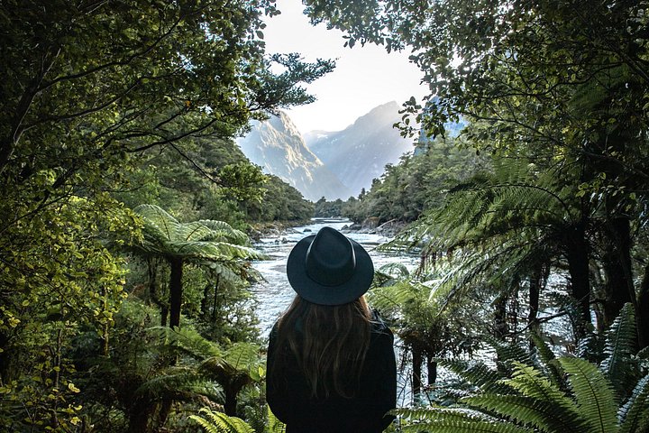 Recorrido a pie autoguiado por Milford Track Day - Milford Sound