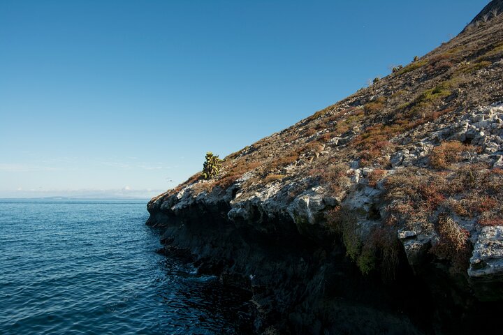 Paquete de 5 días de primera clase en Galápagos con excursiones de un día en yate