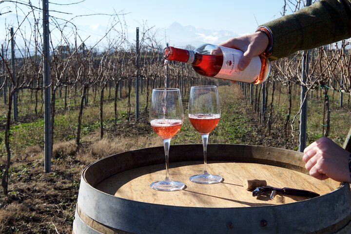 Excursão privada de comida e vinho na adega com degustações