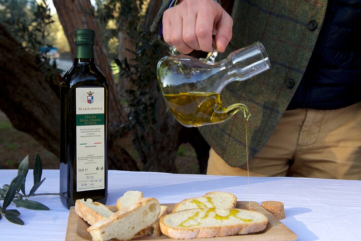 Excursão privada de comida e vinho na adega com degustações