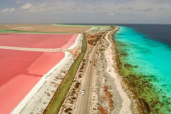Tour in North and South Bonaire Guided