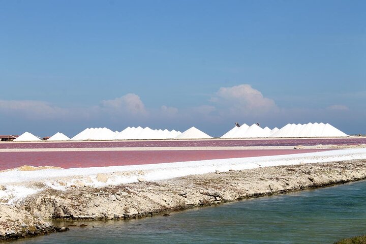 Tour in North and South Bonaire Guided