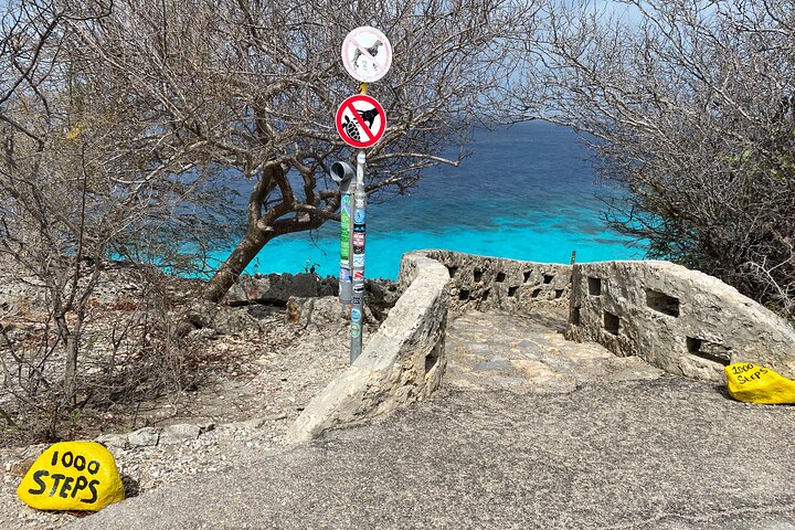 Tour in North and South Bonaire Guided