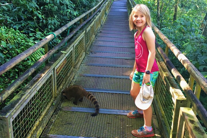 Iguazu Falls Tour, boottocht, trein en Safari Truck