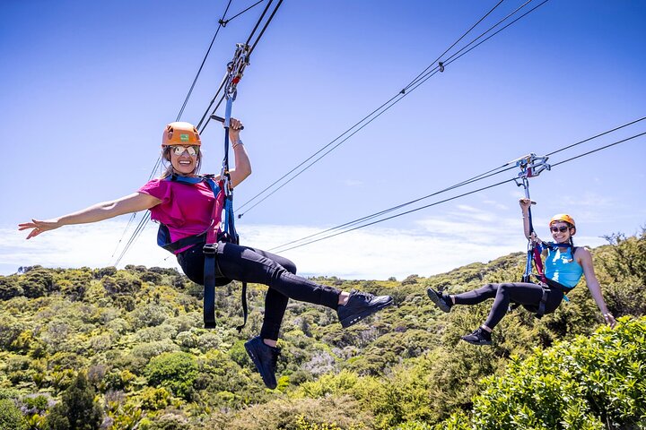 Waiheke Island: Zipline og skogvandring