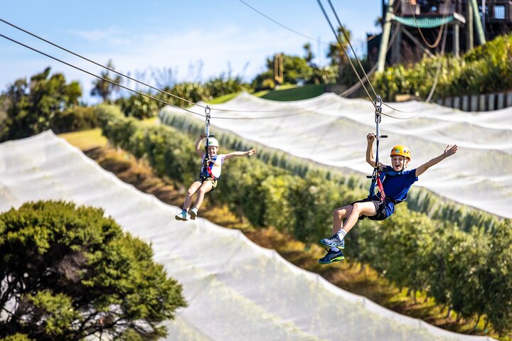 Waiheke Island: Zipline og skogvandring
