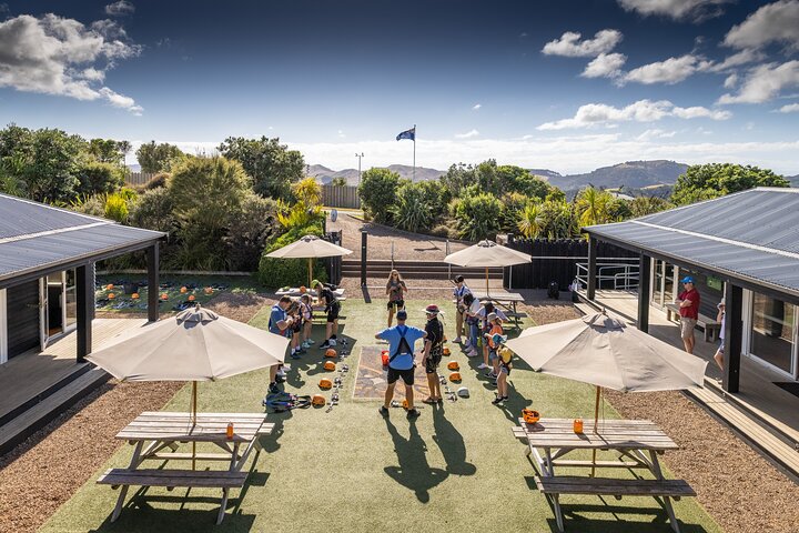 Waiheke Island: Zipline og skogvandring