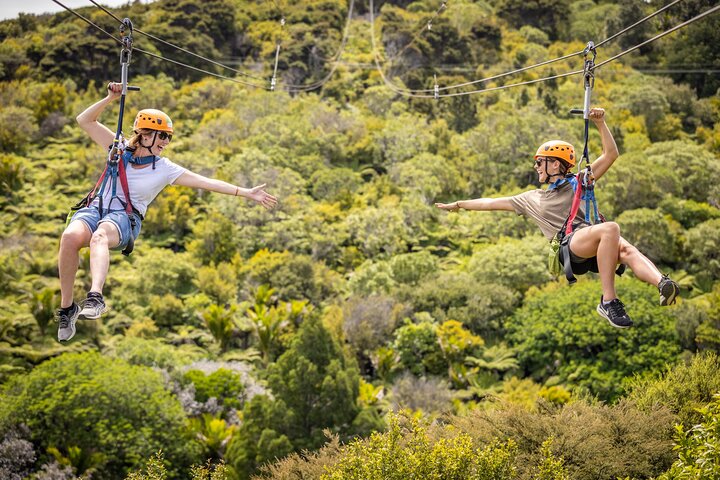 Waiheke Island: Zipline og skogvandring