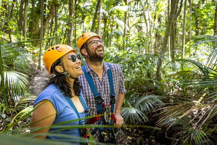 Waiheke Island: Zipline og skogvandring