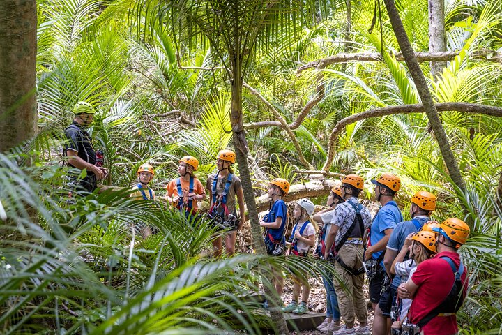 Waiheke Island: Zipline og skogvandring