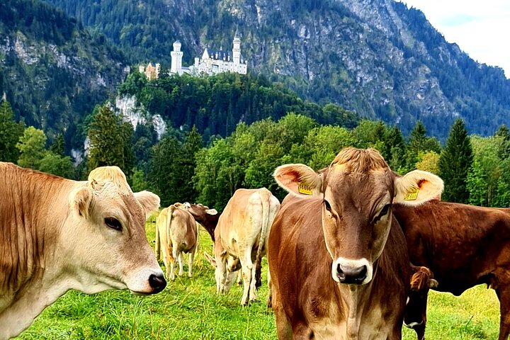 Desde Füssen: tour privado por Neuschwanstein, Linderhof y más