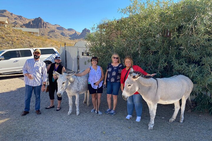Oatman Mining Camp & Burros : Visite historique de la Route 66 au départ de Laughlin