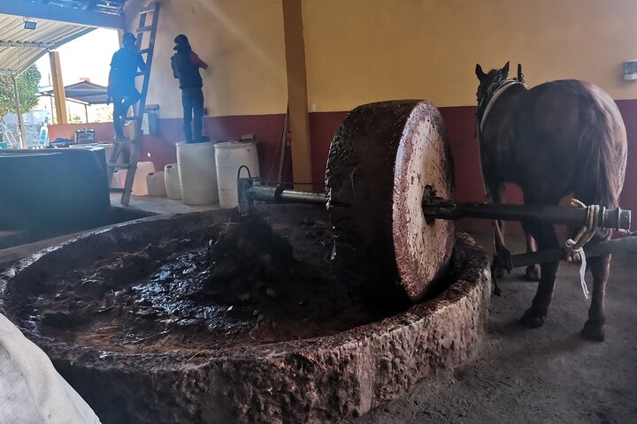 Tour de Dia Completo Guiado por Hierve el Agua en Oaxaca