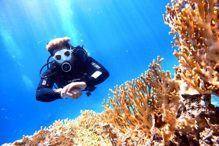 Privates Taucherlebnis im Herzen des Roten Meeres in Aqaba