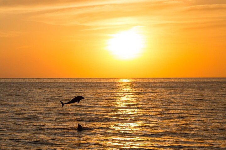 Ibiza strandhopcruise met paddleboards, drankjes en eten 6 uur