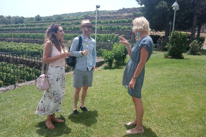 Desde Siracusa : Tour Privado Monte Etna con Almuerzo en Bodega Etna