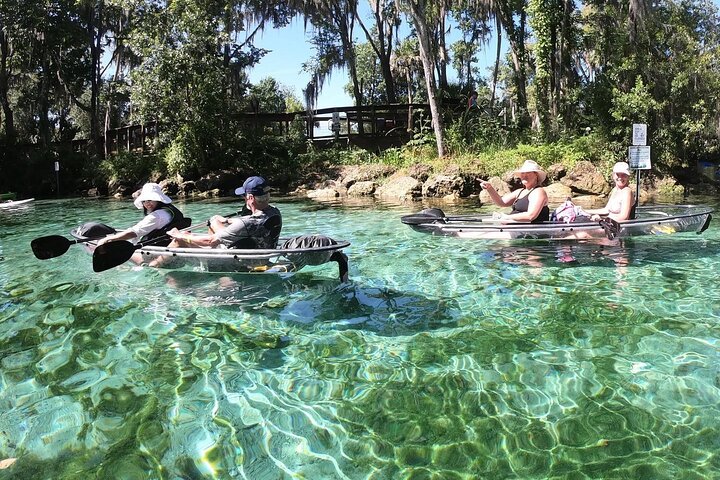 Clear Kayak Tour de las Tres Hermanas Springs y Manatí por Crystal River