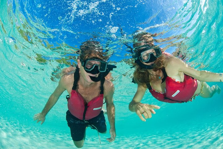 Hoteller i nærheden af Kayak & Snorkel med Sea Turtles