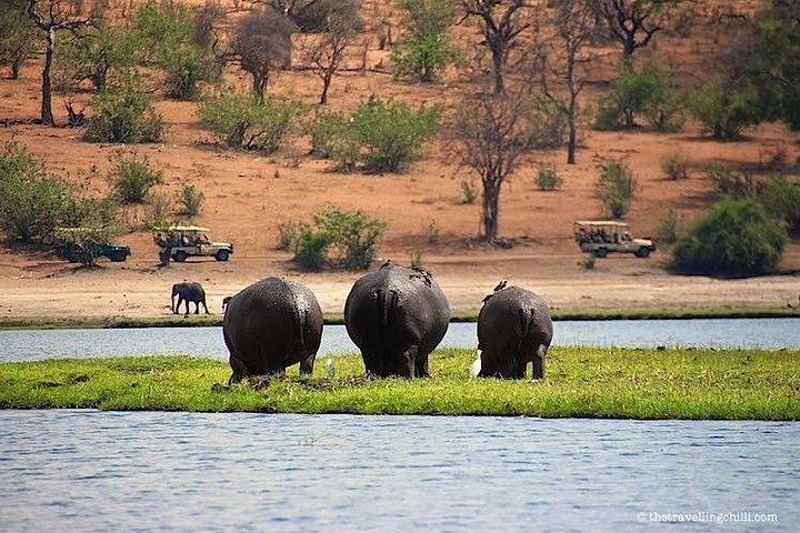 Chobe Full Day Trip