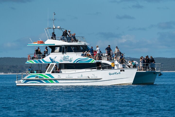Hervey Bay : Halve dag walvissen spotten met beste prijs-kwaliteitverhouding