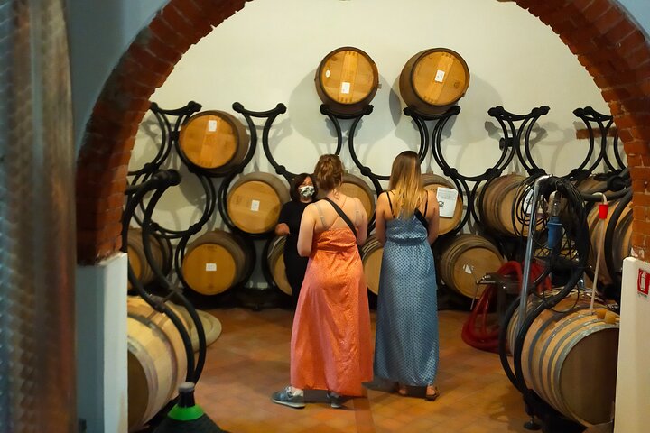 Privé wijntour door de magische heuvels van Lucca met een sommelier.