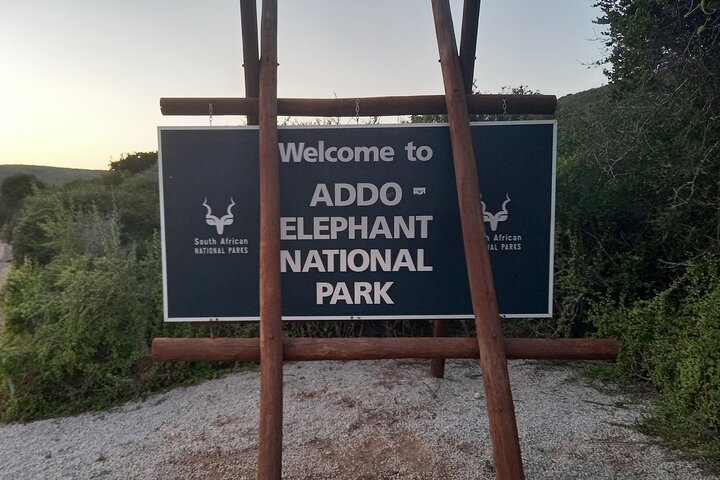 Safari photo de plusieurs jours dans le parc des éléphants d'Addo