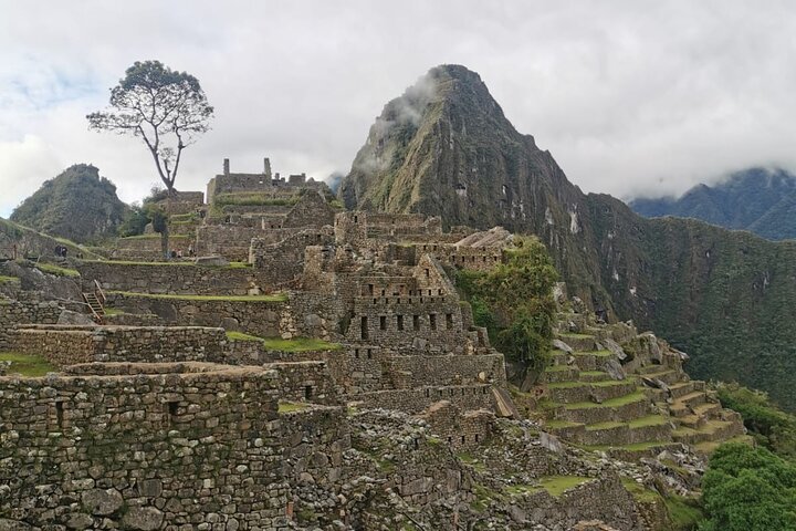 Machu Picchu Full-Day Tour by Train from Cusco