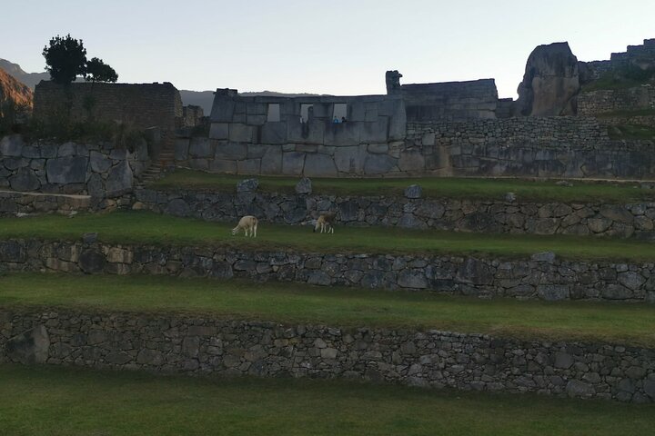 Machu Picchu Full-Day Tour by Train from Cusco