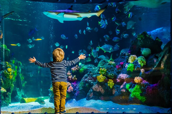 Hoteller i nærheden af SEA LIFE Timmendorfer Strand