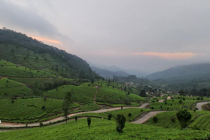4 nachten privé Deluxe Tour Cochin / Munnar / Thekkady / Woonboot