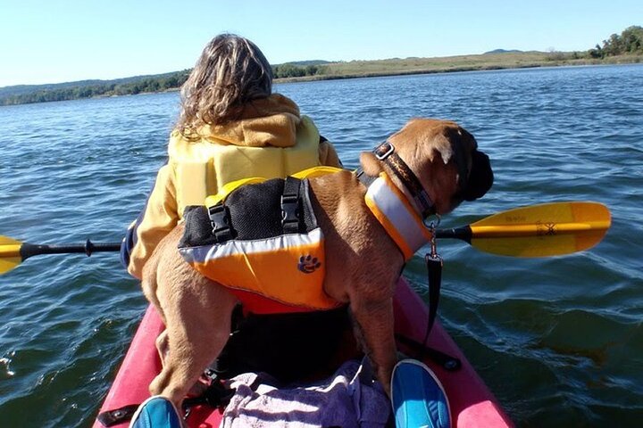 Tandem Kayak Aluguer em Rehoboth Bay