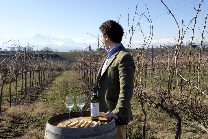 Excursão privada de comida e vinho na adega com degustações