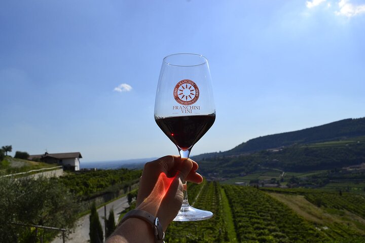 6 Degustación de vinos en Valpolicella Classica: la cuna de Amarone