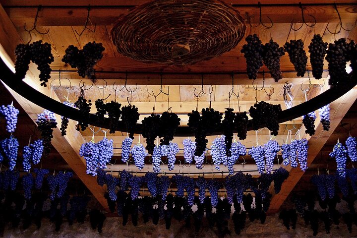 6 Degustación de vinos en Valpolicella Classica: la cuna de Amarone